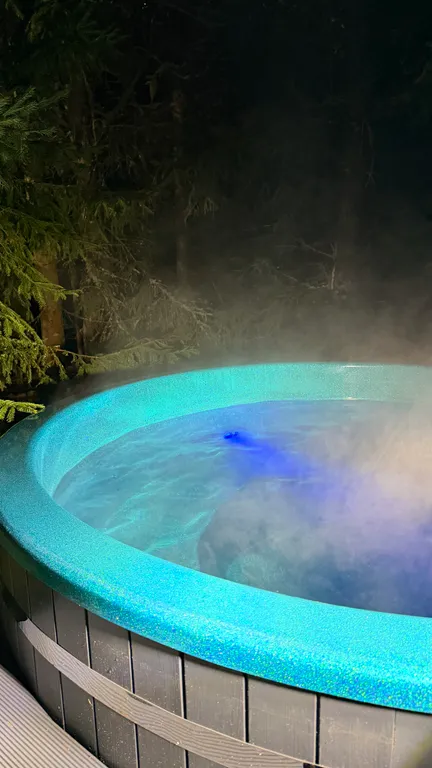 Коттедж Стильный дом в лесу с камином и купелью — Борисово