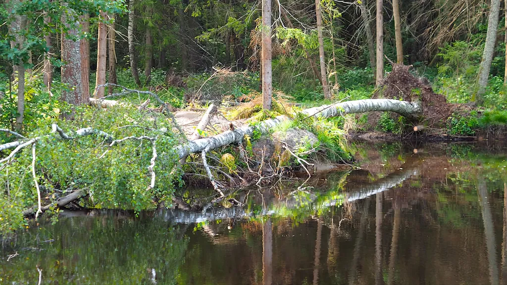 Дом на берегу