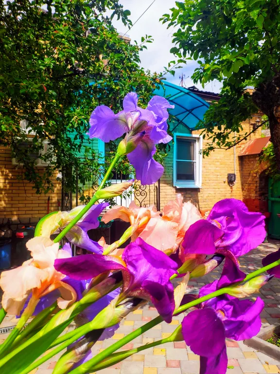 Коттедж Дом с двумя спальнями и двориком в историческом центре — Пятигорск