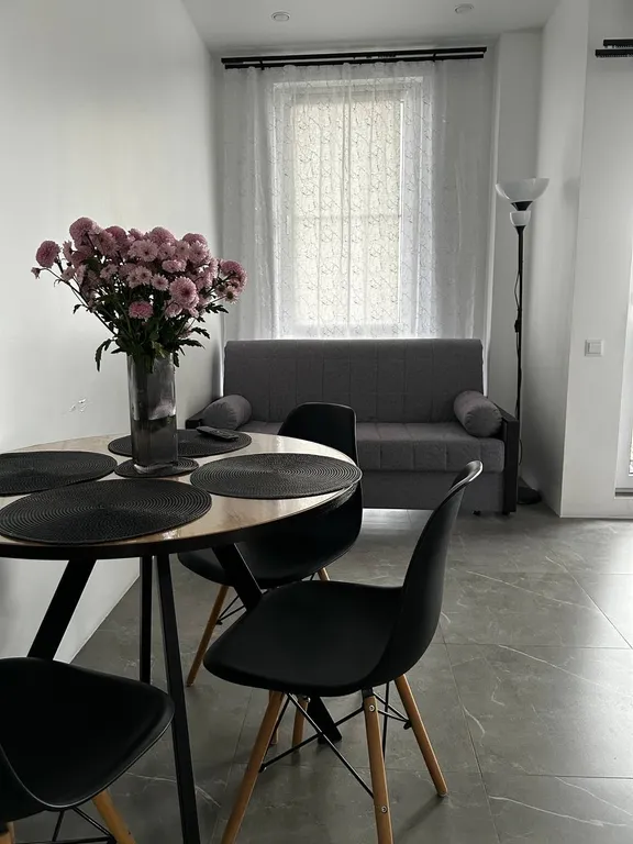 Квартира Квартира Уютная студия в районе Олимпийского парка — Сириус