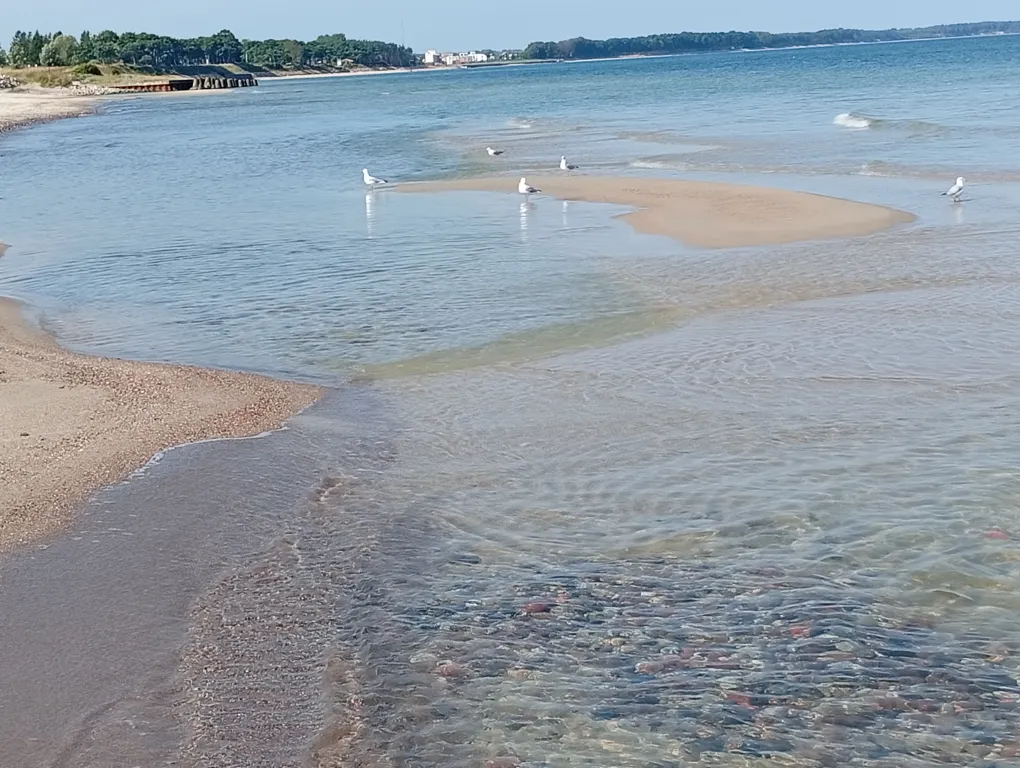 Дом с тёплым 30+ бассейном и сауной в 20 минутах от шикарного пляжа