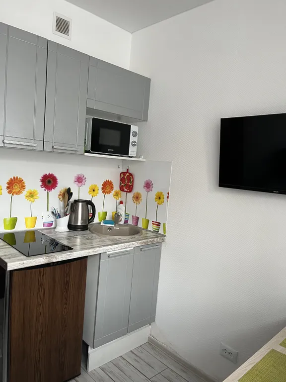 Студия рядом с Краевой больницей на Ляпидевского