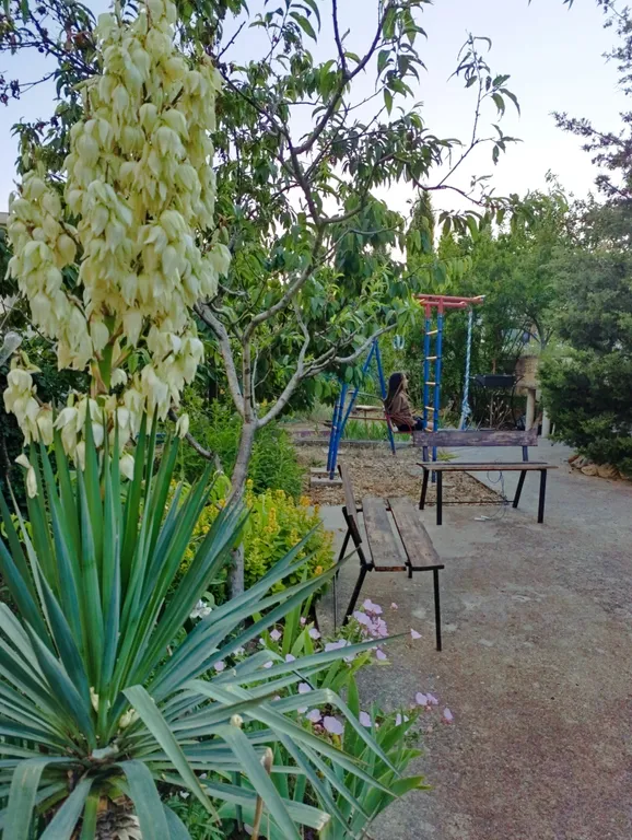 Уютное гнёздышко для двоих.