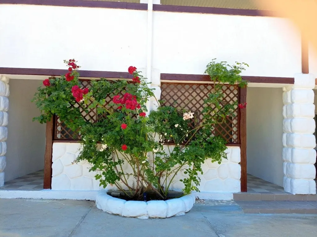 Квартира Двухкомнатный номер с отдельным входом и верандой 3 и 4 — аренда посуточно в Поповка