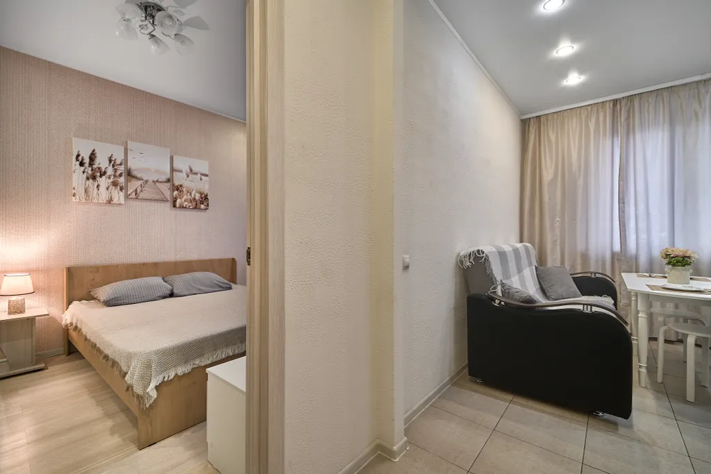 Однокомнатная квартира с двуспальной кроватью и диваном