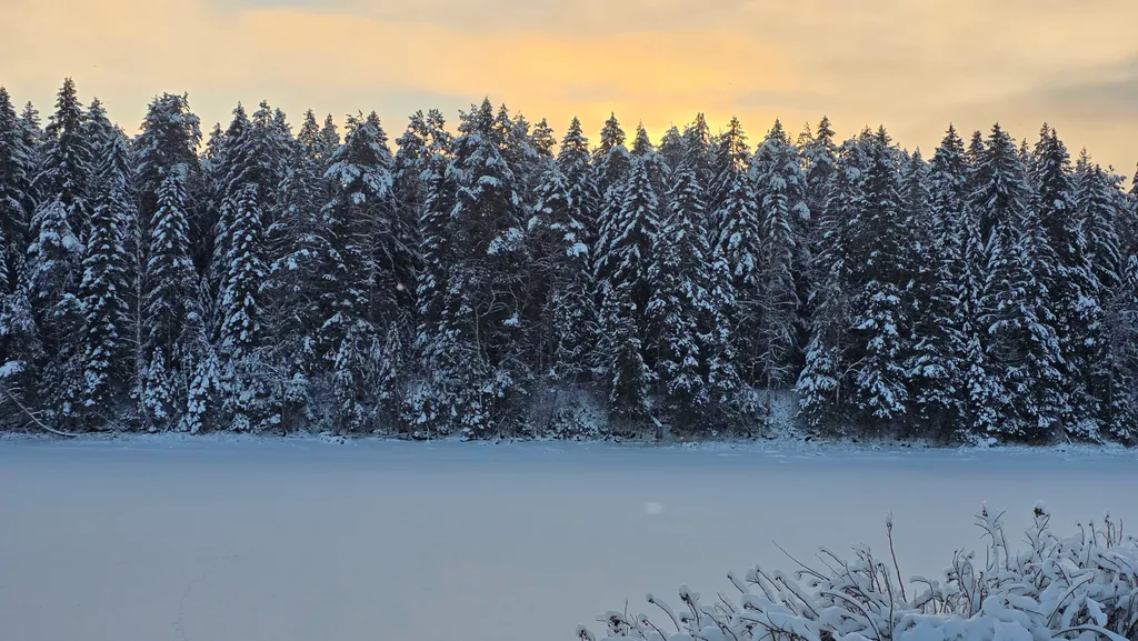 Коттедж Дом с видом на реку — Нурмойла