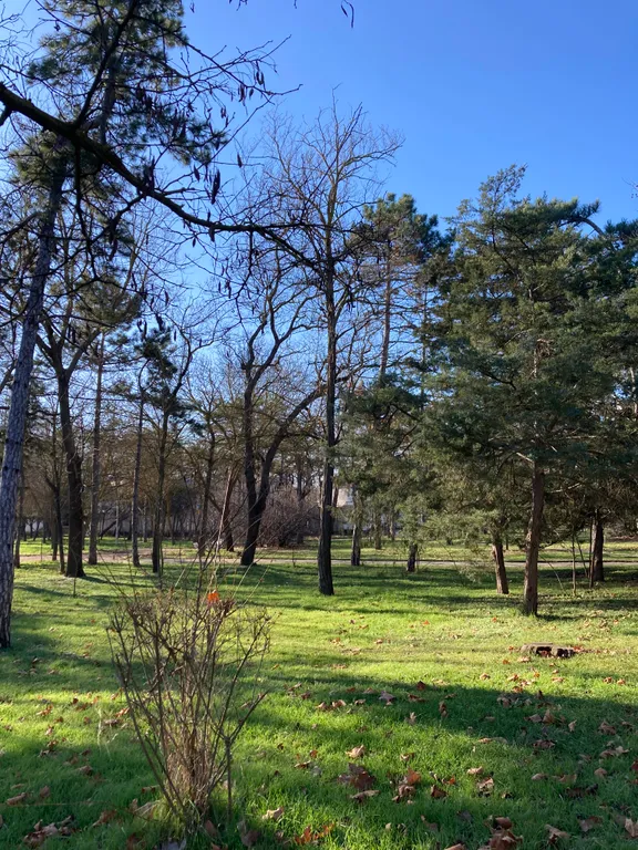 Квартира 2 комнатная квартира с двориком на Пушкина — Евпатория