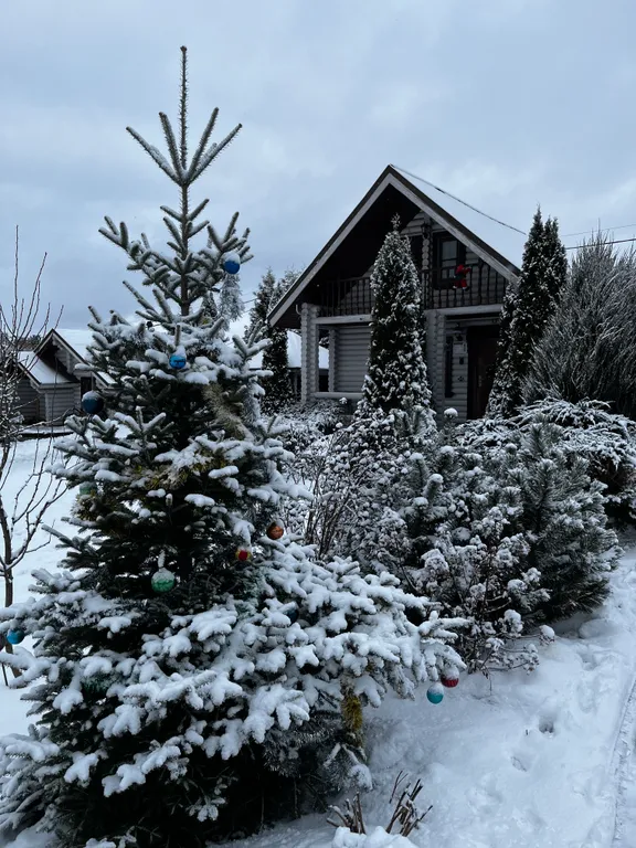 Коттедж 2-комнатный Дом — Богослово