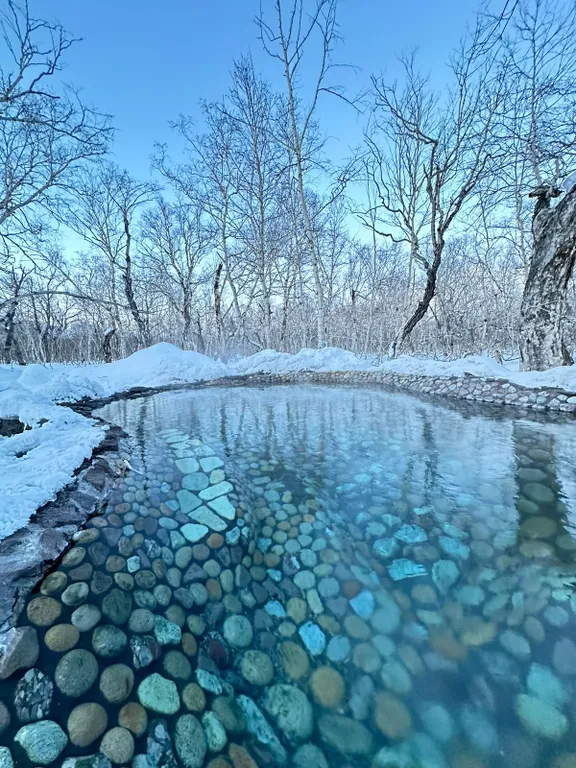 Лесной купольный дом Шикша