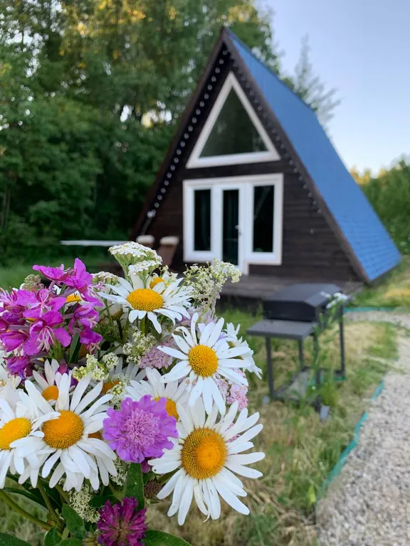 Papino village blue домик рядом с водопадом и лесом