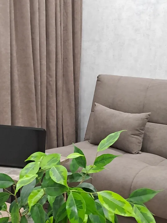 Комфортная квартира в Ньютоне