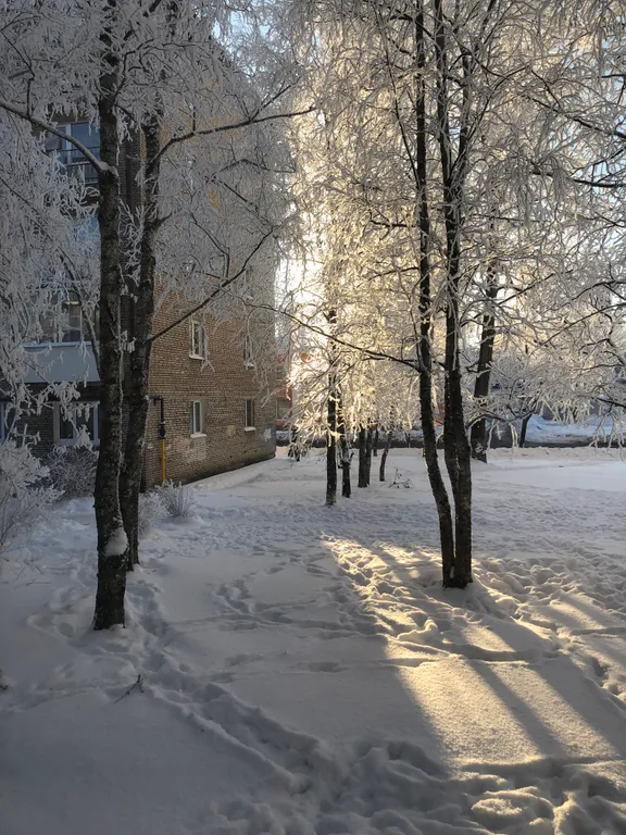 2-комнатная квартира в центре города