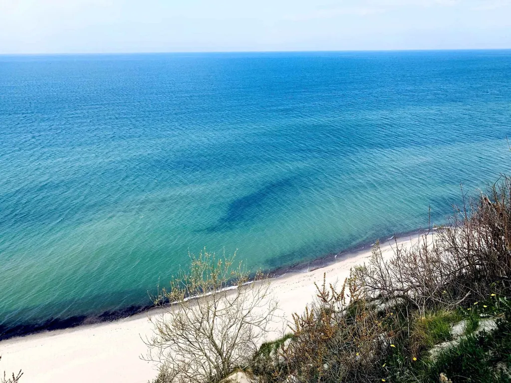 Коттедж Дом-баня на берегу Балтийского моря — аренда посуточно в Донское