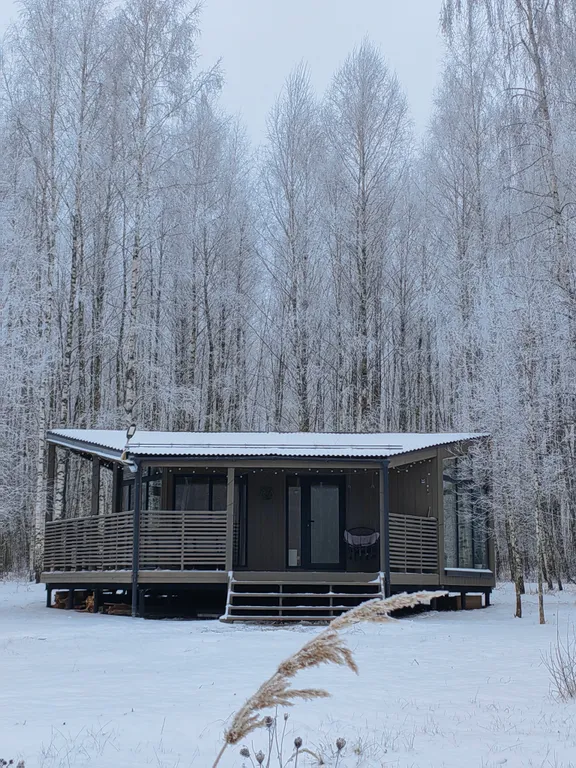 Домик в лесу