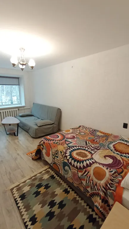 Уютная квартира в центре города с видом на парк