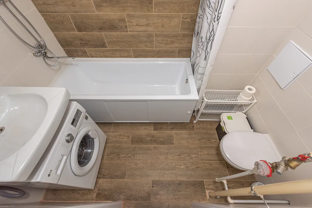 Квартира в Академическом cat home