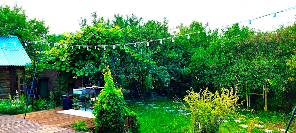 Гостевой дом с русской баней