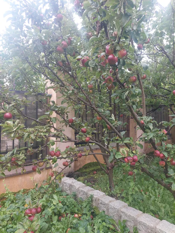 Дом на 10 человек.