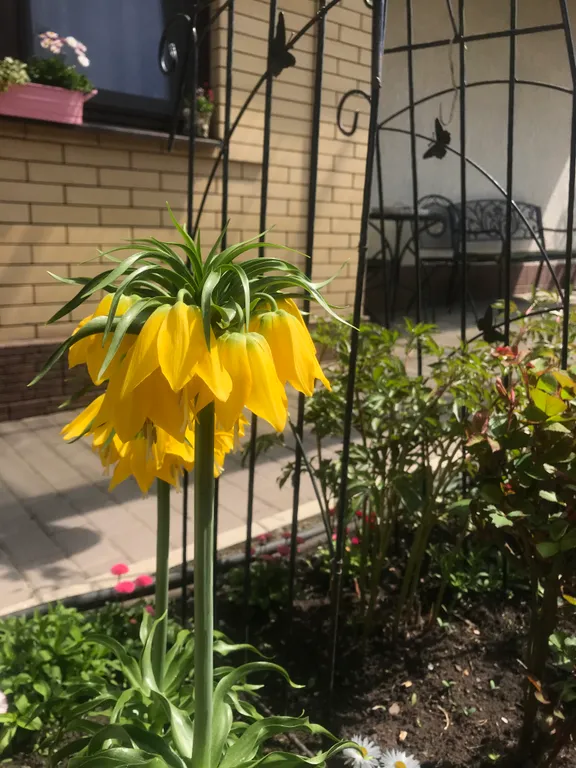 Коттедж Домик с цветущим садом — Кисловодск