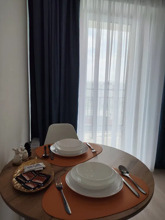 1-комнатная квартира с обзорным видом на город и лес