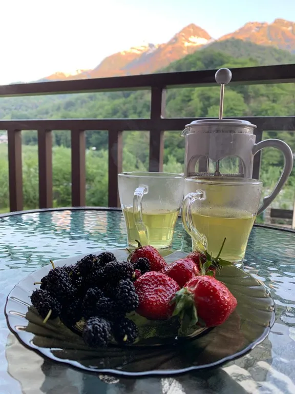 Апартаменты с видом на горы