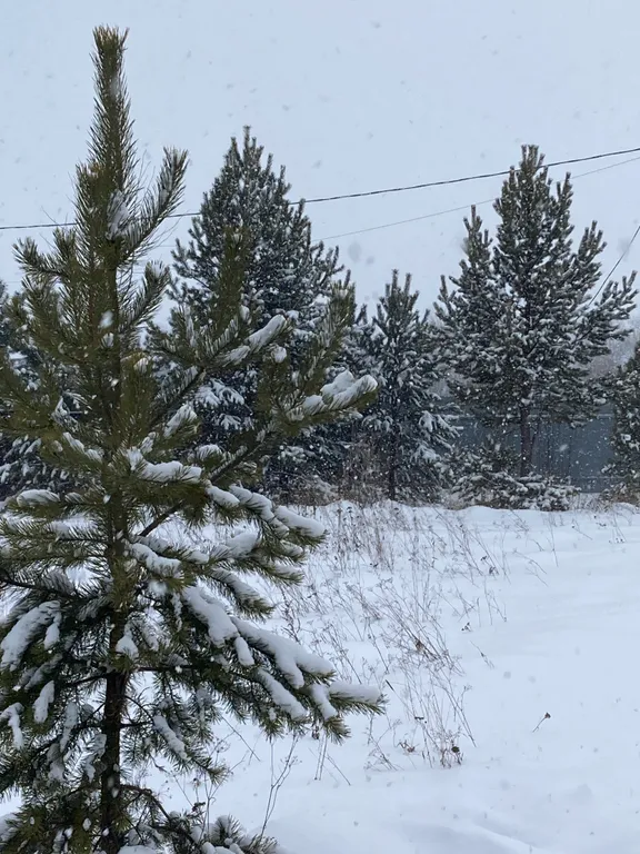 Гостевой дом Покровский с баней