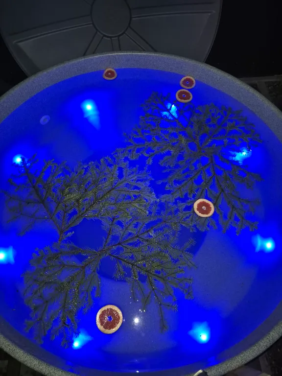 Райское место