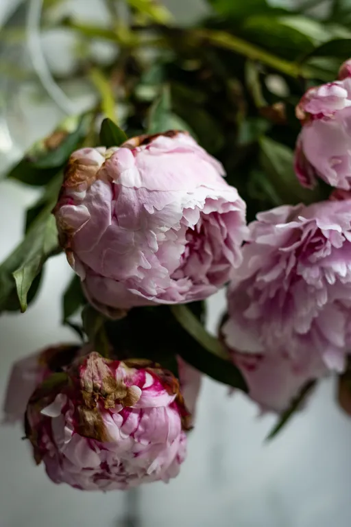 Рондо на Заневском от Точно Ключи