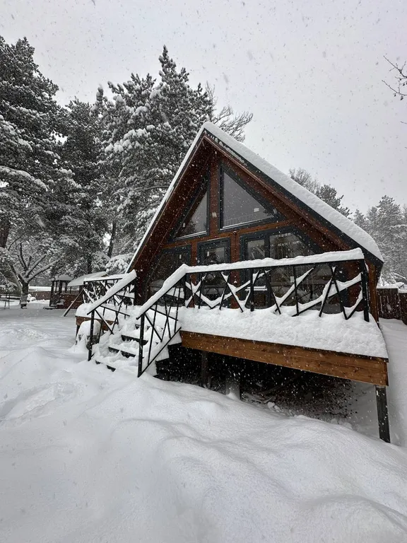 Новый современный дом в лесной зоне