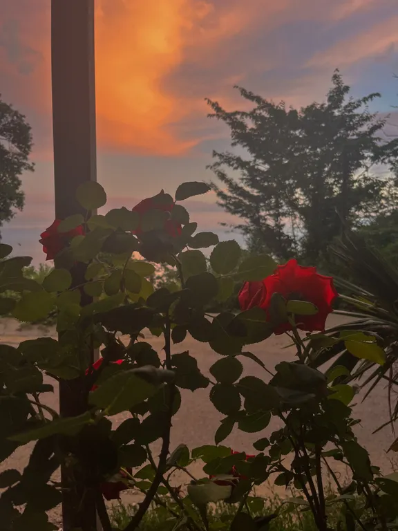 Вилла с видом на море