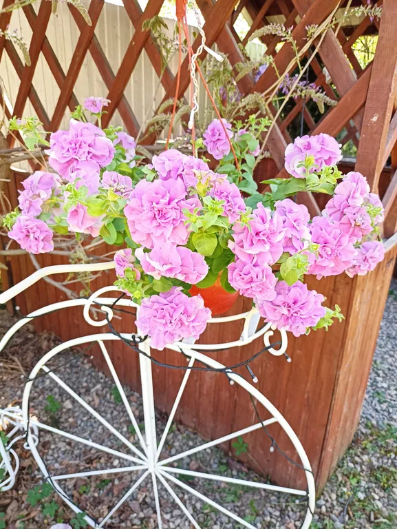 Семейный номер с кухней с выходом на террасу