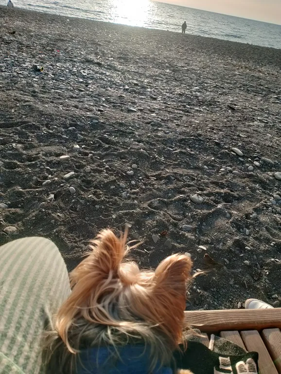 Квартира Уютная квартира с открытой лоджией и видом на море — Анапа