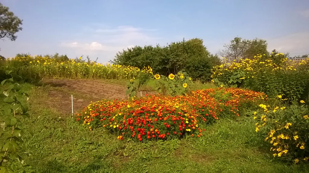 Коттедж 1-комнатный Дом — Тверь