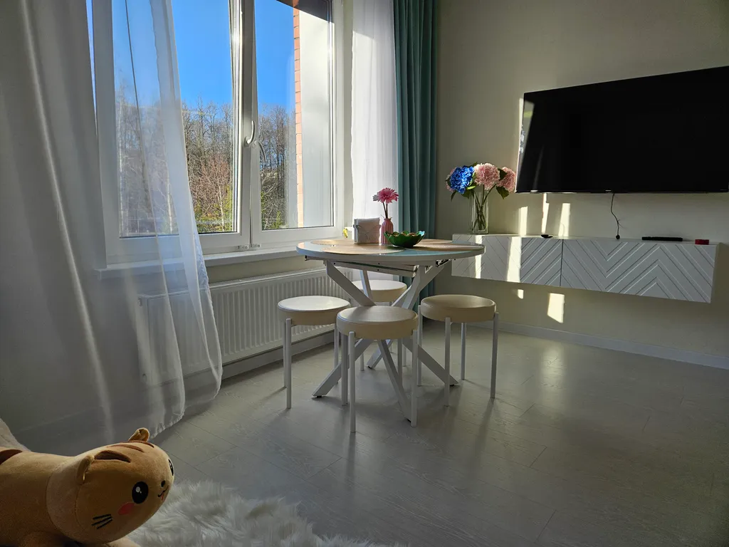 Апартамент Карельская сказка у речки в центре города