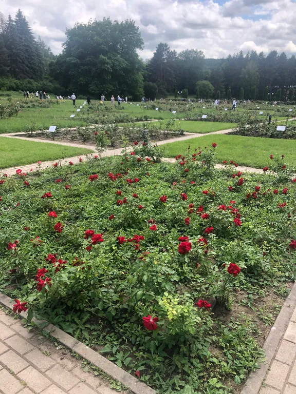 Квартира в парковой зоне