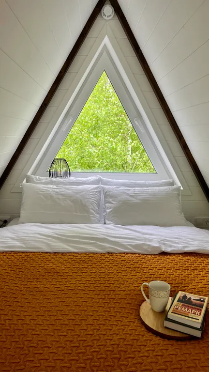 Уникальный треугольный дом в лесу Forest