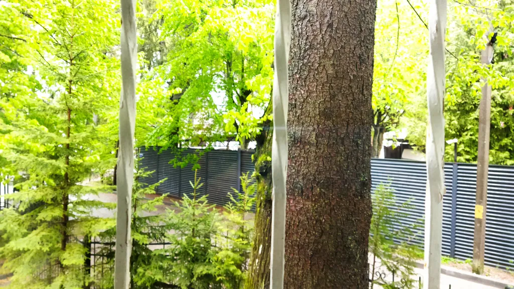 Квартира Просторная квартира в историческом центре — Светлогорск