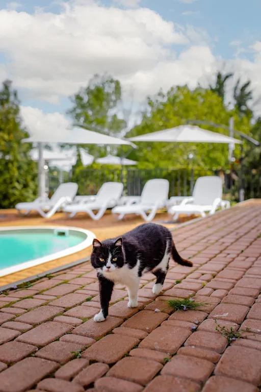 Бунгало Западное