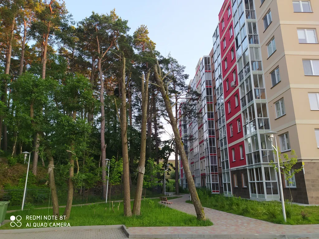 Квартира Уютная квартира с видом на лес — Светлогорск