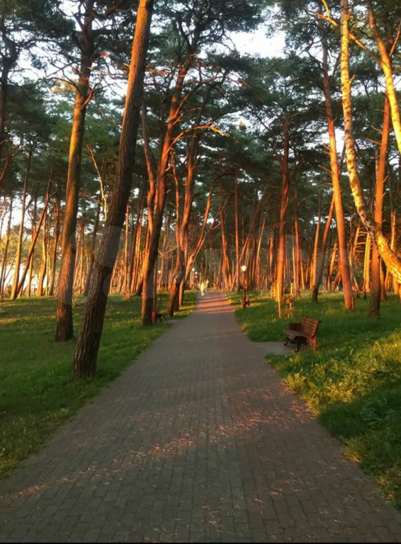 Квартира Квартира у моря — Пионерский