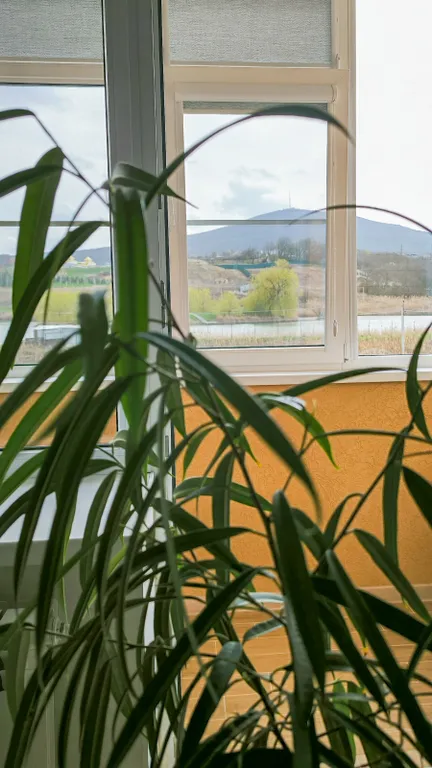 Видовая на горы Машук и Бештау