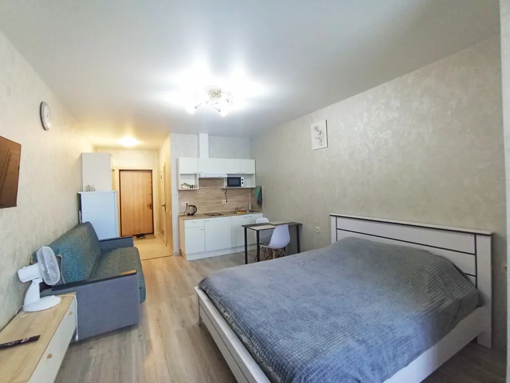 Уютная  квартира-студия