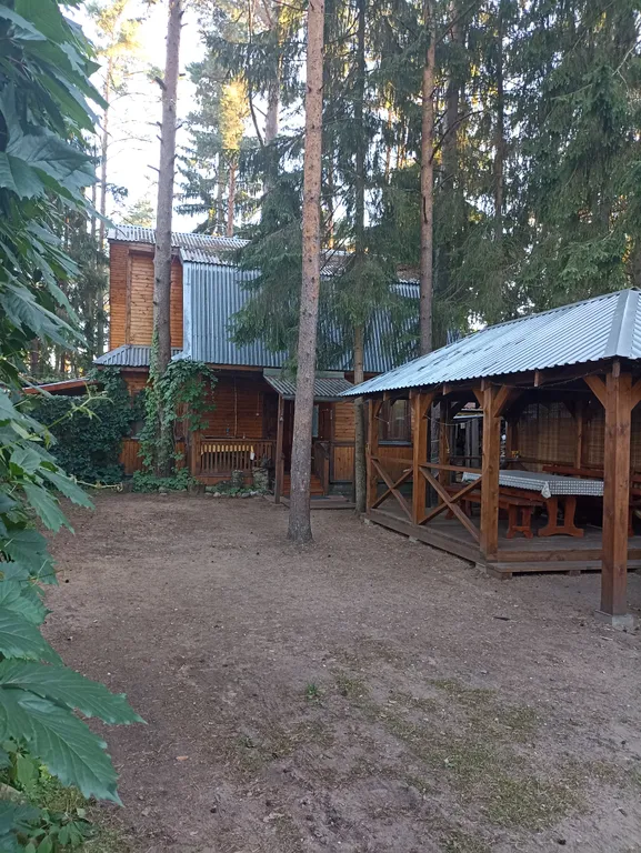 Коттедж Лана в хвойном бору на Селигере