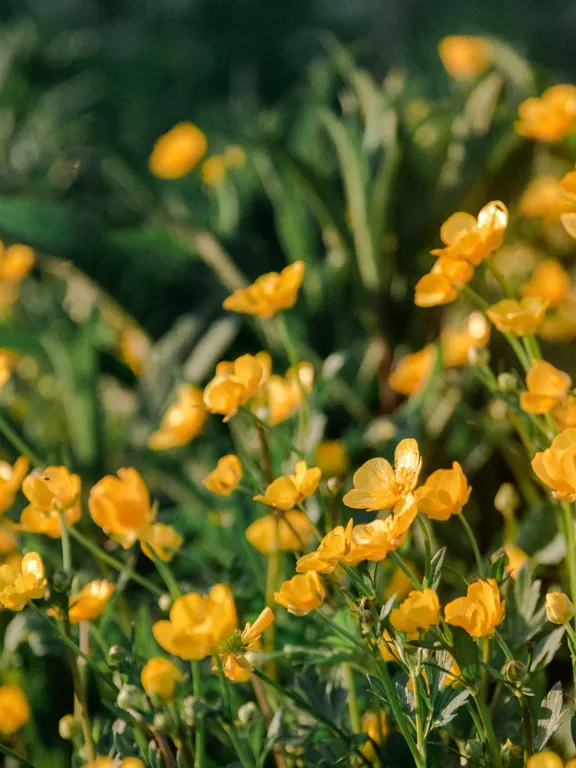 Загородный дом Уютный хутор