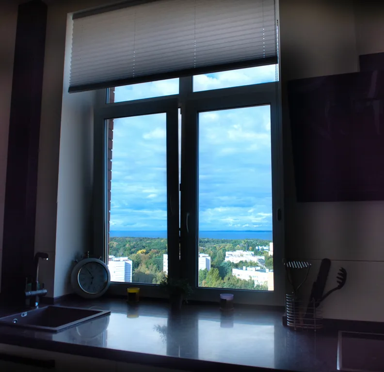 Квартира с видом на Финский залив