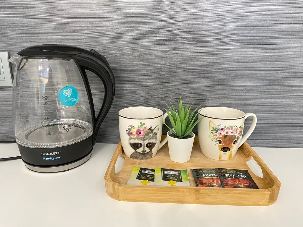 Студия на берегу Обского моря в бору Сказочный лес