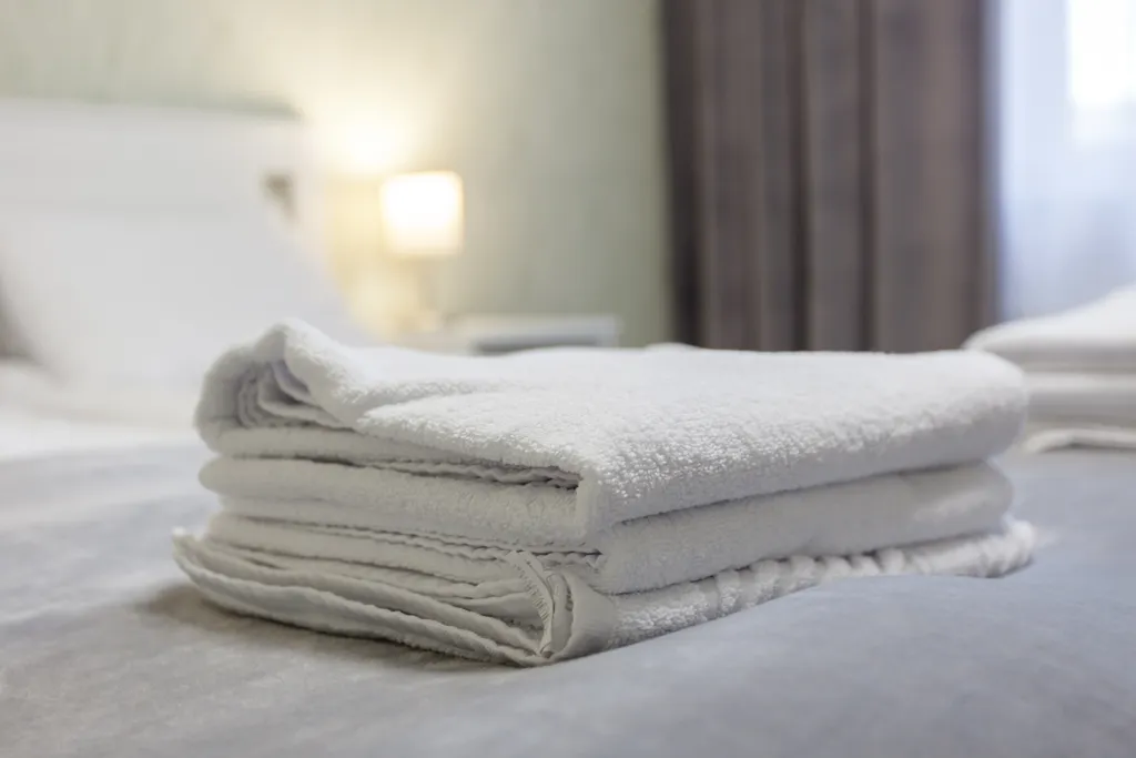 Очень большая квартира с 2 спальнями