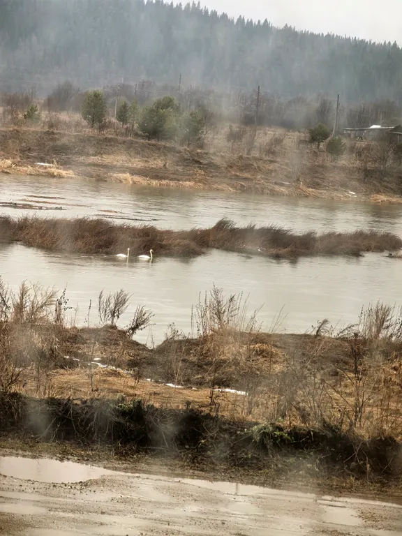 Уютный дом у реки для спокойного отдыха