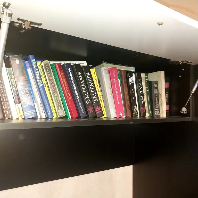 Квартира в новом доме с медведем