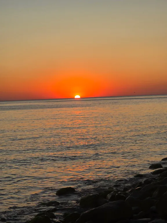 Квартира Уютные апартаменты в ЖК Скала Парус — Прасковеевка